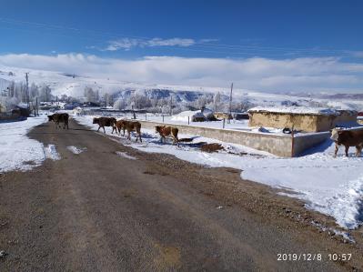 Köyümüzden güncel kış fotograflari 