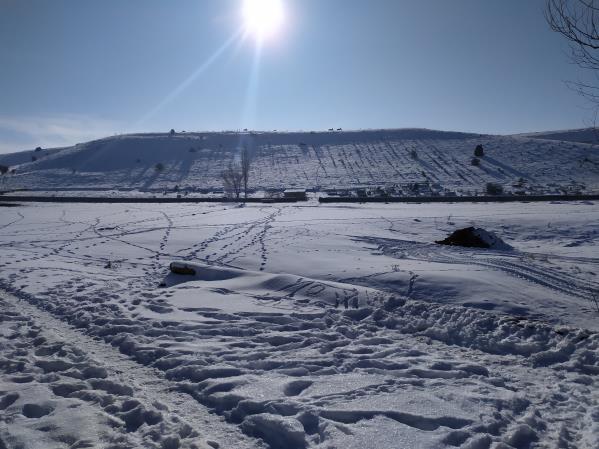 Güncel fotoğraflar