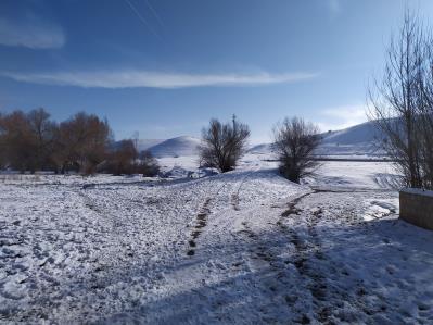 Güncel fotoğraflar