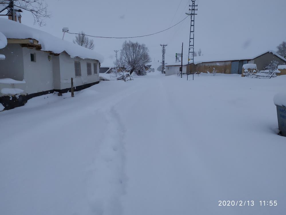 Çetin bir kış manzarası 